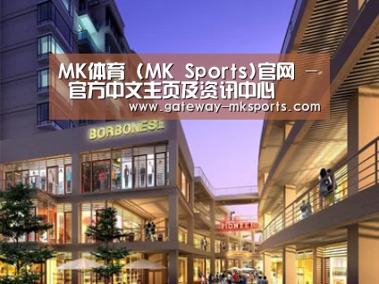 案例展示一(图1)