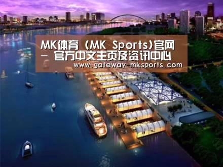 案例展示八
