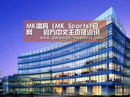 案例展示五