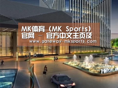 案例展示二