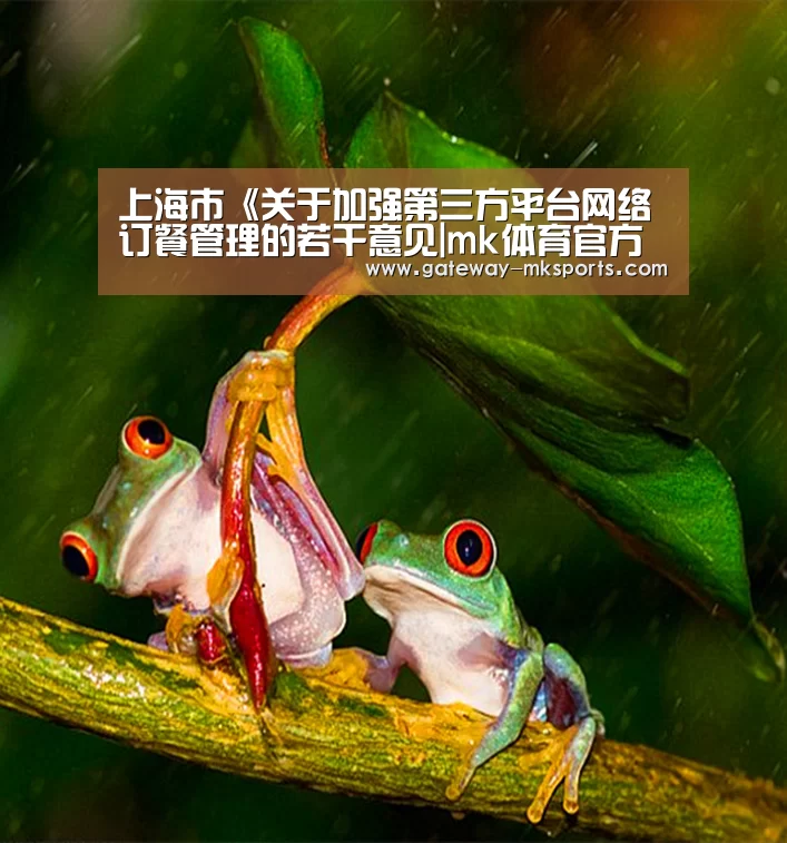 mk体育