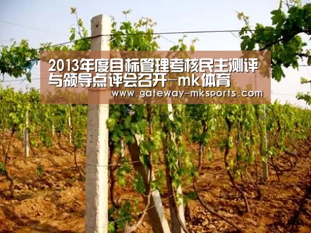 2013年度目标管理考核民主测评与领导点评会召开-mk体育(图1) mk体育