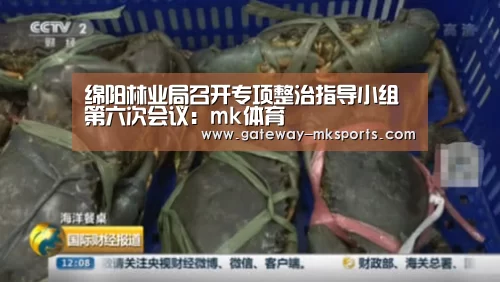 mk体育
