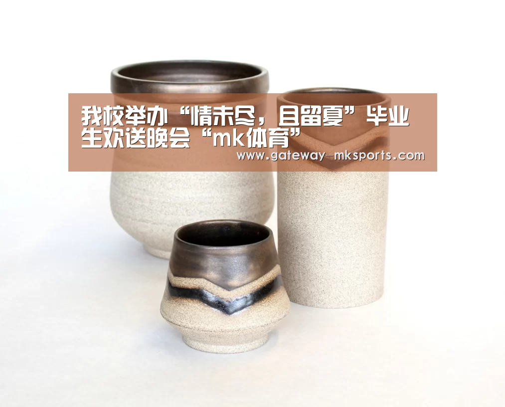 我校举办“情未尽,且留夏”毕业生欢送晚会“mk体育”(图3) mk体育官方